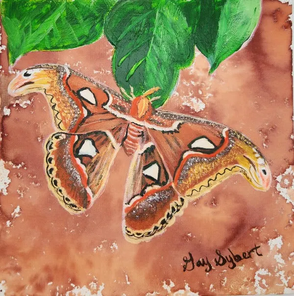 Atlas Moth Brown Ink