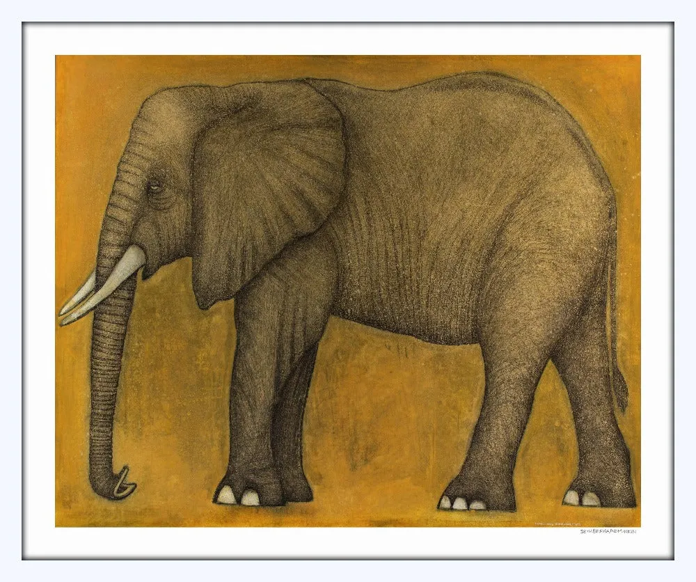 [elephant][limited edition print by seth b minkin]