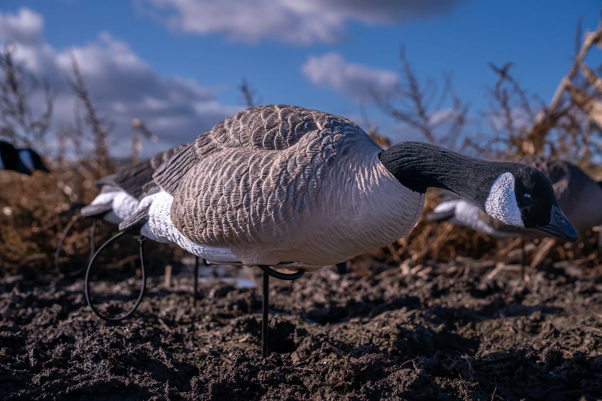 Flight Full Body Canada Goose Feeders