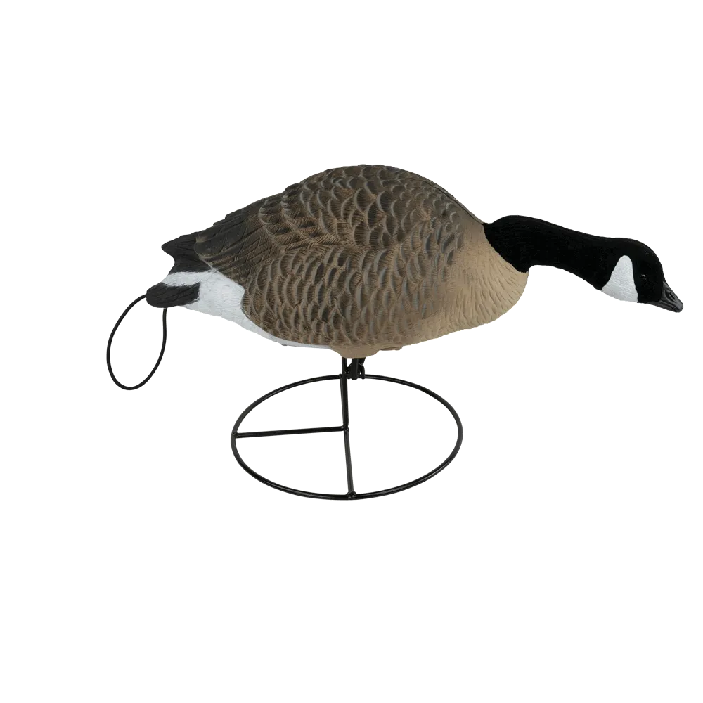 Flight Full Body Canada Goose Feeders