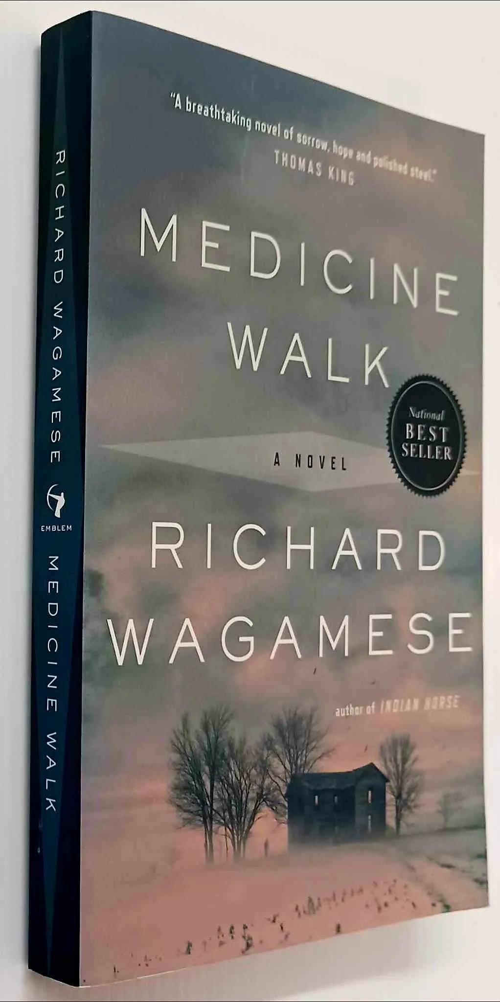 MEDICINE WALK - Richard Wagamese